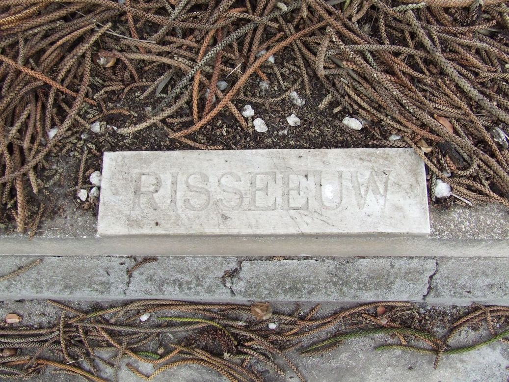 RISSEEUW