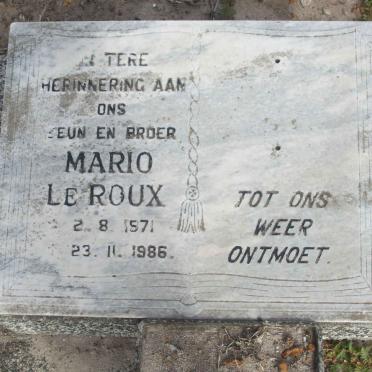 ROUX Mario, le 1971-1986