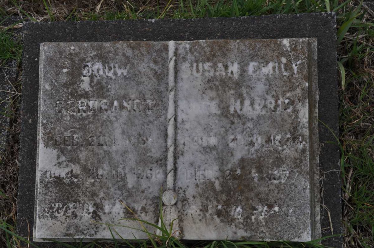 STEYN Douw Gerbrandt 1892-1966 &amp; Susan Emily HARRIS 1894-1977