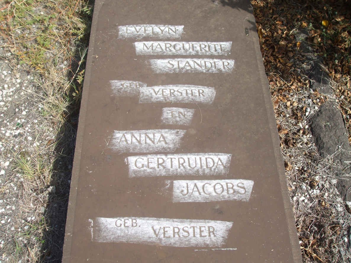STANDER Evelyn Marguerite nee VERSTER :: JACOBS Anna Gertruida nee VERSTER