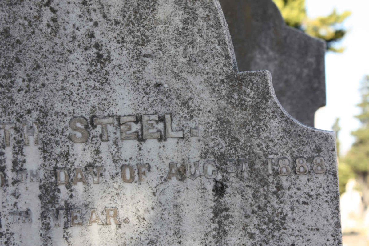 STEEL Elizabeth -1888