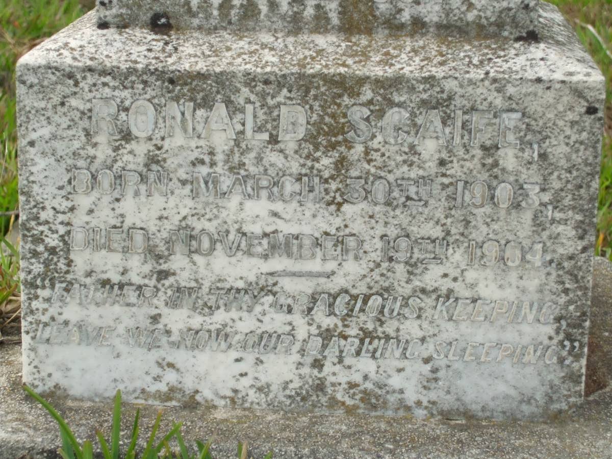 SCAIFE Ronald 1903-1904