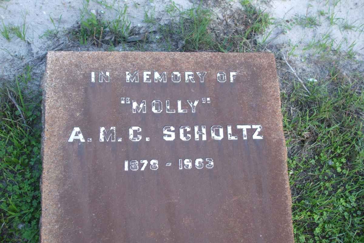 SCHOLTZ A.M.C. 1878-1963
