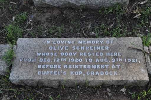 SCHREINER Olive