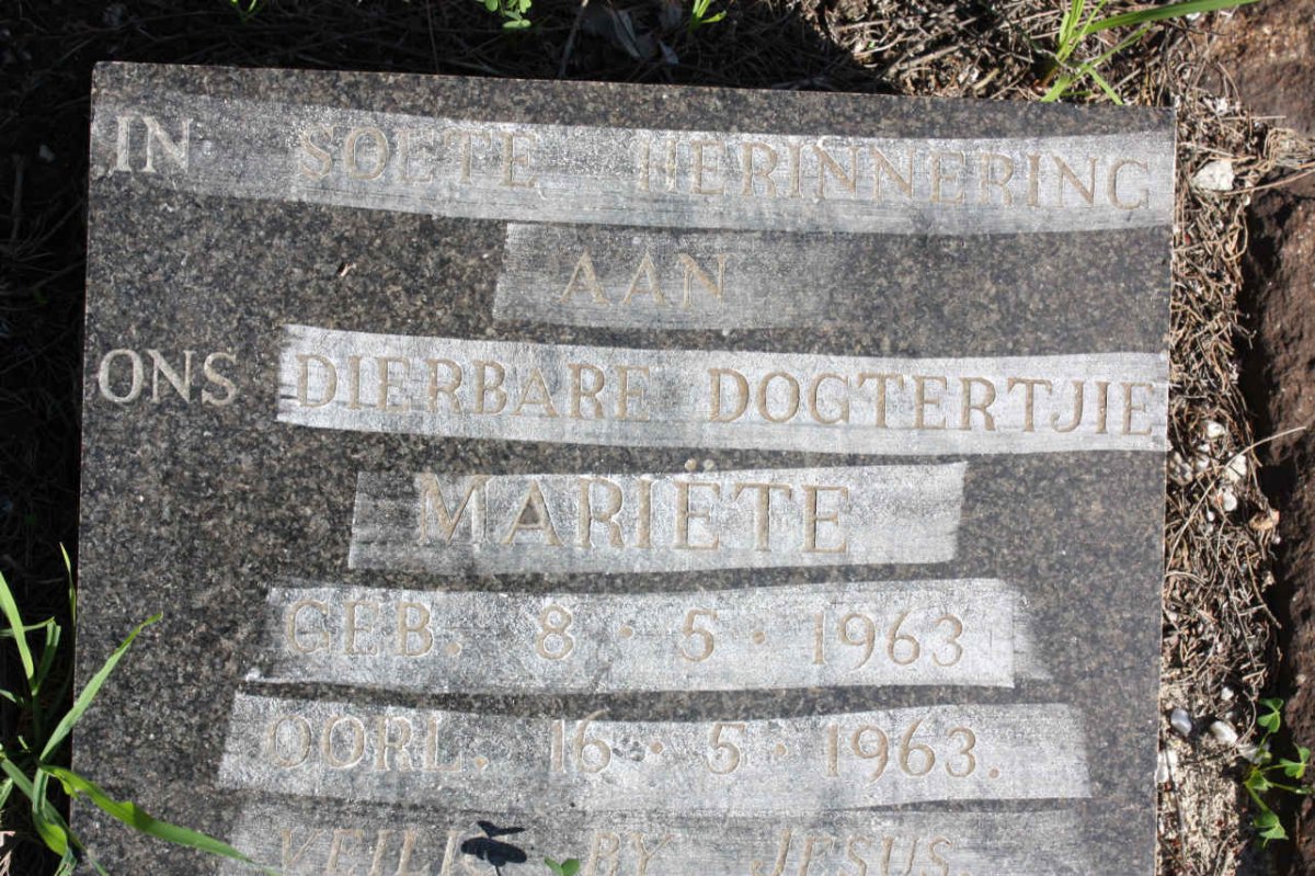 SCHRIMGEOUR Mariëte 1963-1963