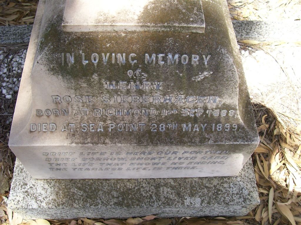 SIEBERHAGEN Henry Rose 1888-1899