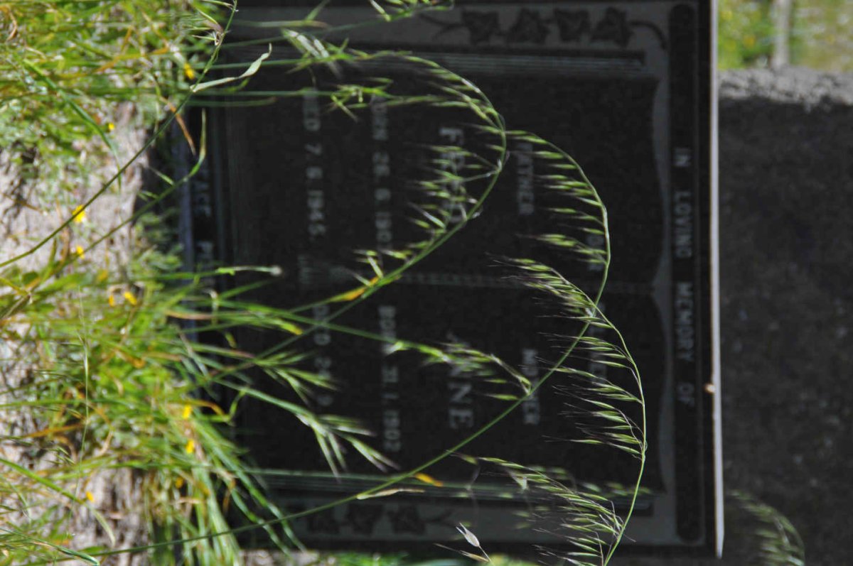 SMEDLEY Fred 1903-1945 &amp; Anne 1902- :: SMEDLEY Russell George 1954-1982