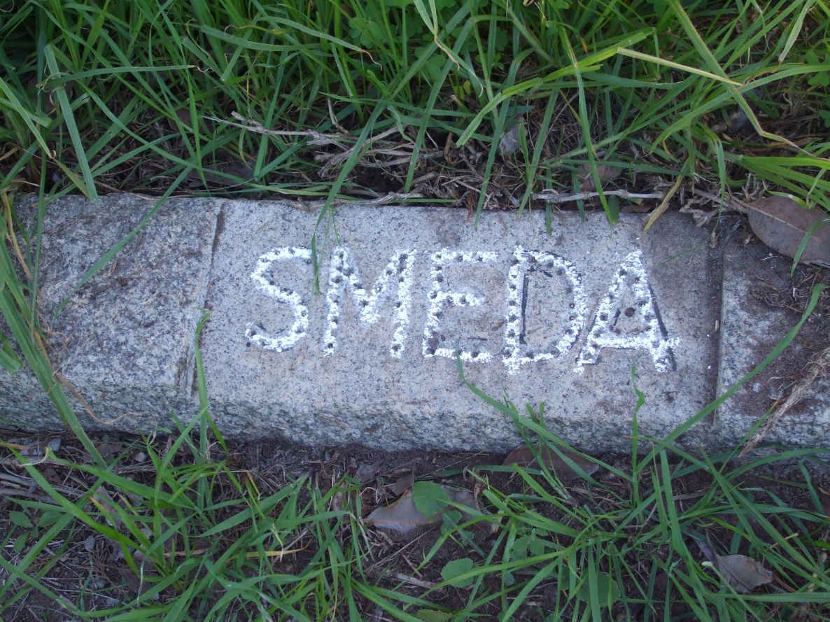 SMEDA