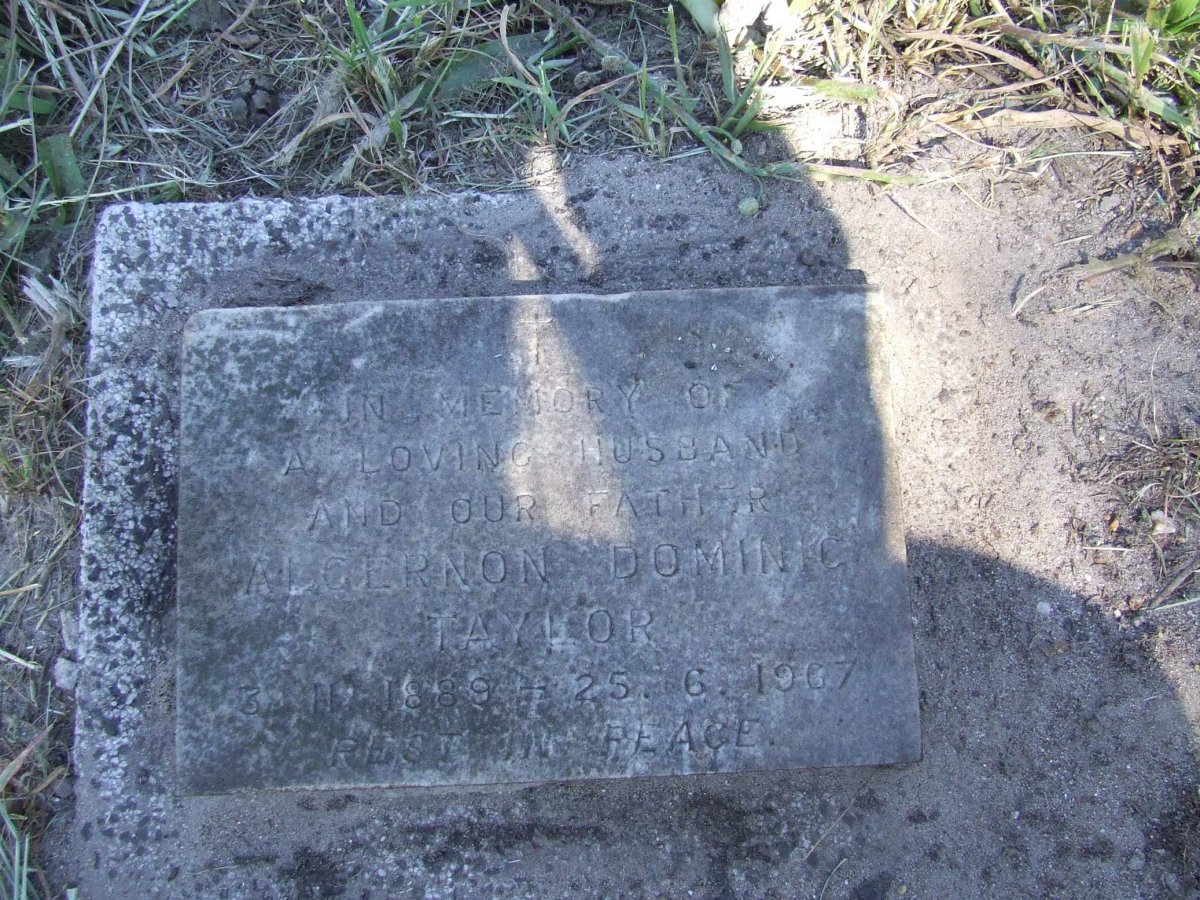 TAYLOR Algernon Dominic 1889-1967