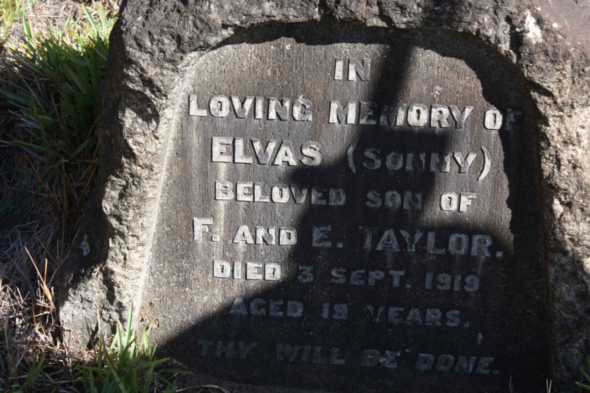 TAYLOR Elvas -1919