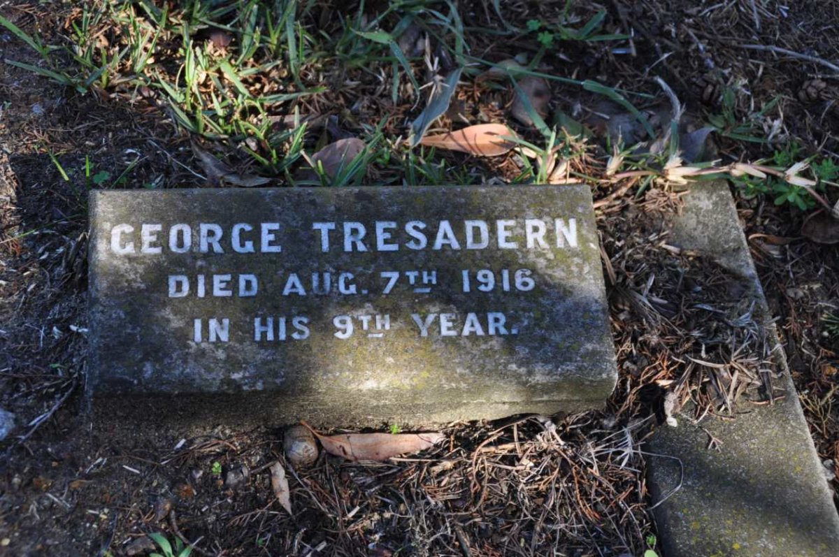 TRESADERN George -1916