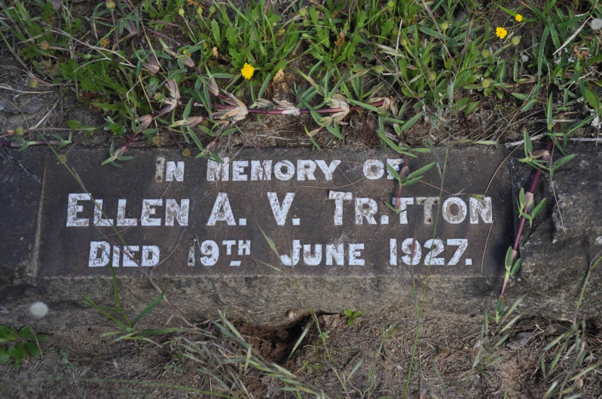 TRITTON Ellen A.V. -1927