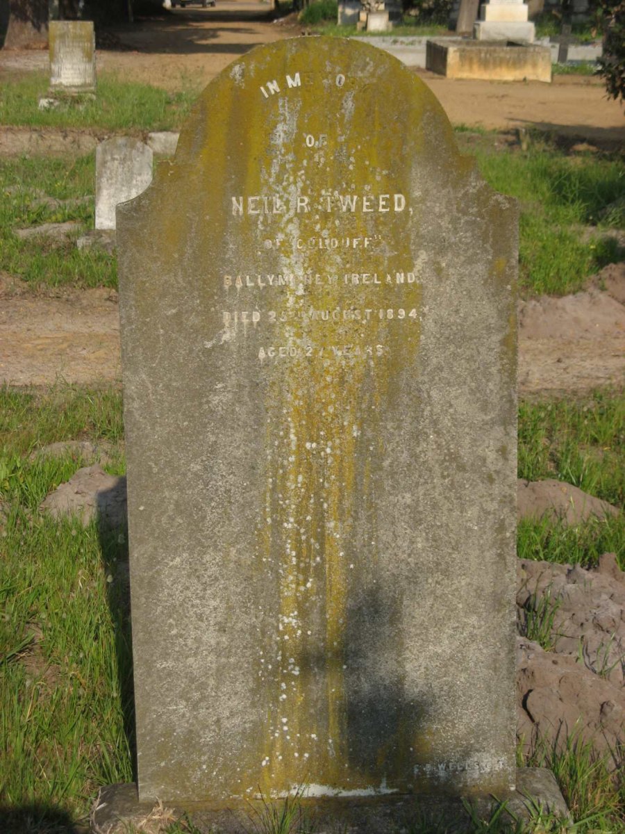 TWEED Neil R. -1894