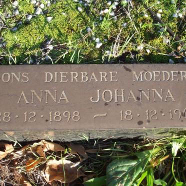 VUUREN Stephanus Johannes Lourens, van 1879-1966 &amp; Anna 1898-1964_1
