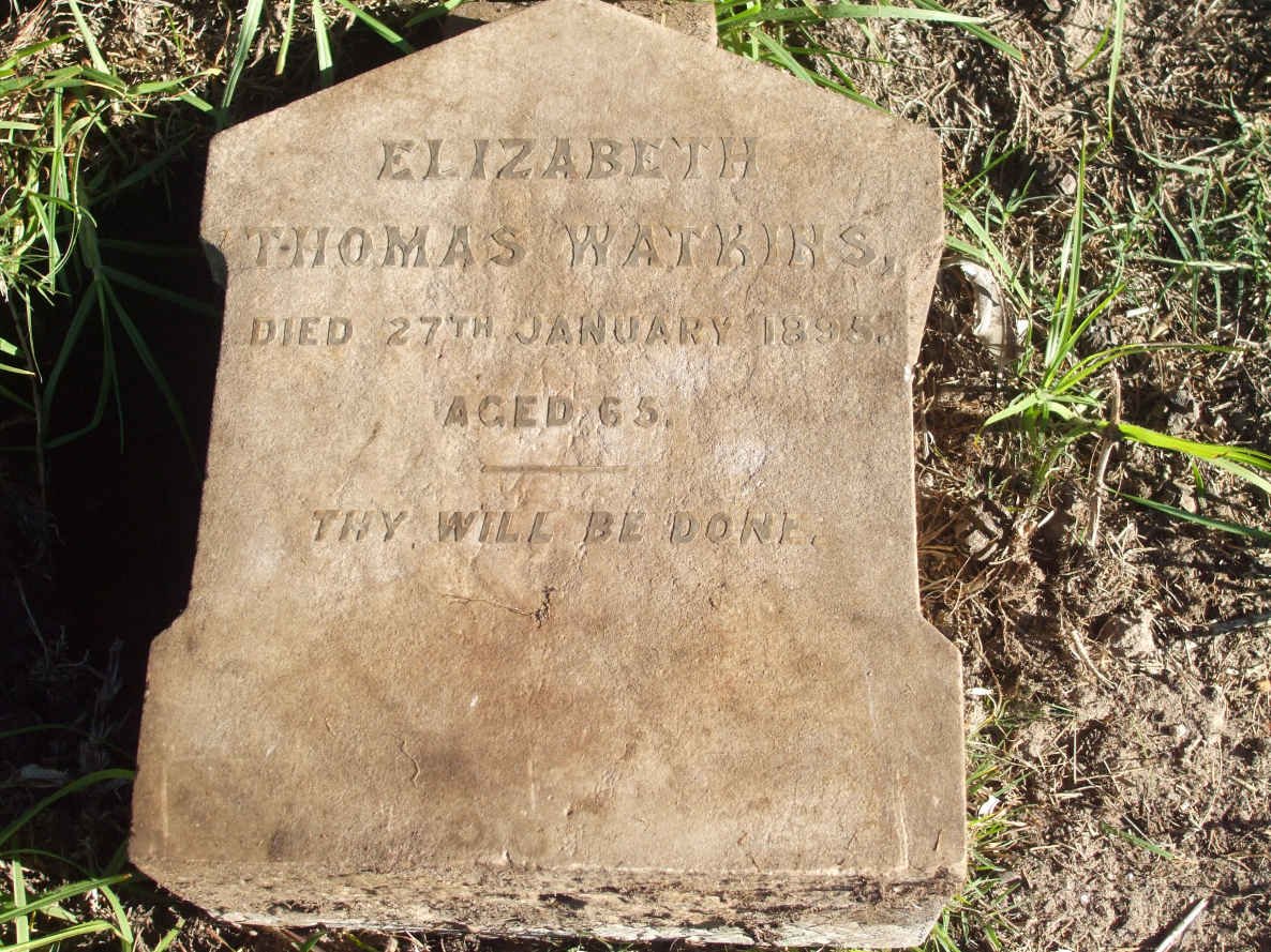 WATKINS Elizabeth Thomas  -1895 