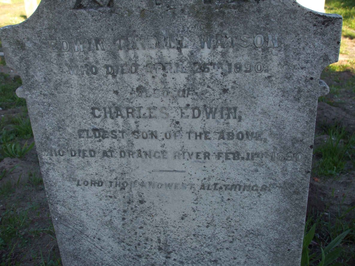 WATSON Edwin Tindill -1890 :: WATSON Charles Edwin -1890