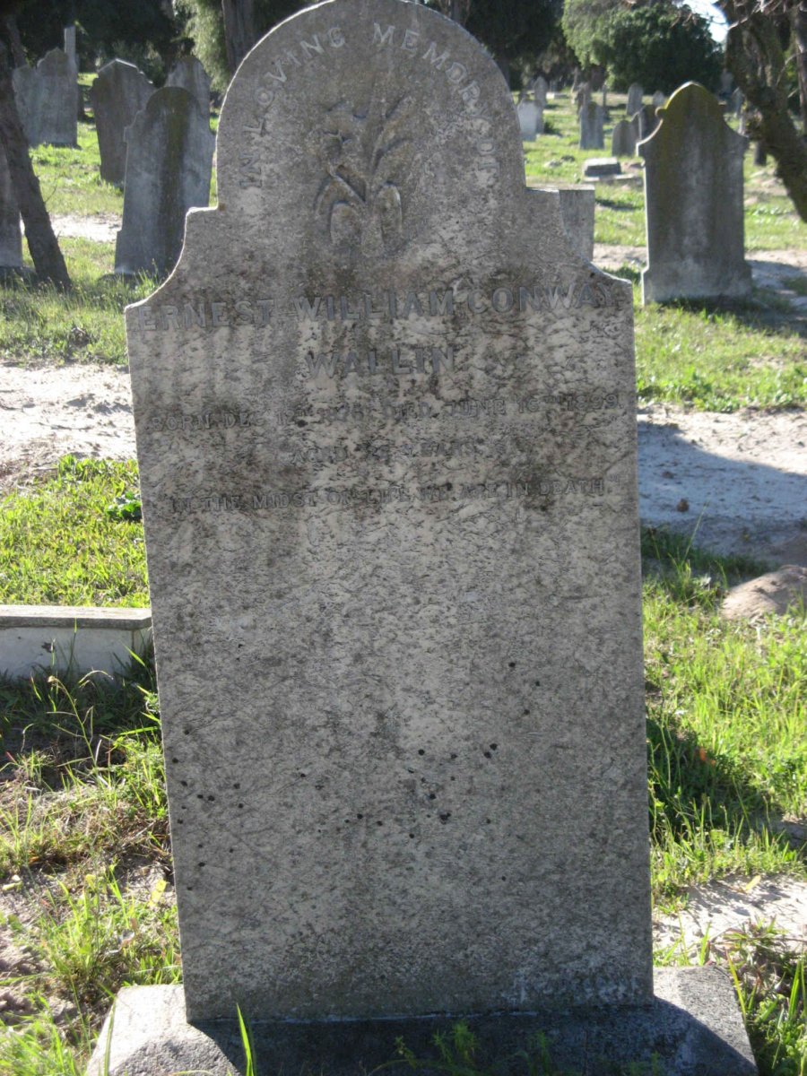 WALLIN Ernest William Conway 1876-1899
