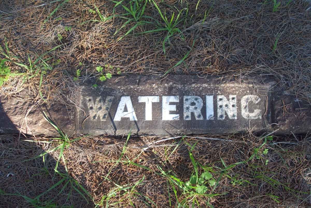 WATERING