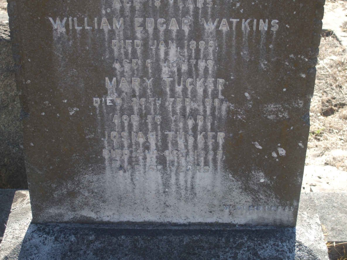 WATKINS William Edgar -1889 :: TUCKER Mary 1886 :: Tucker Josiah 1895