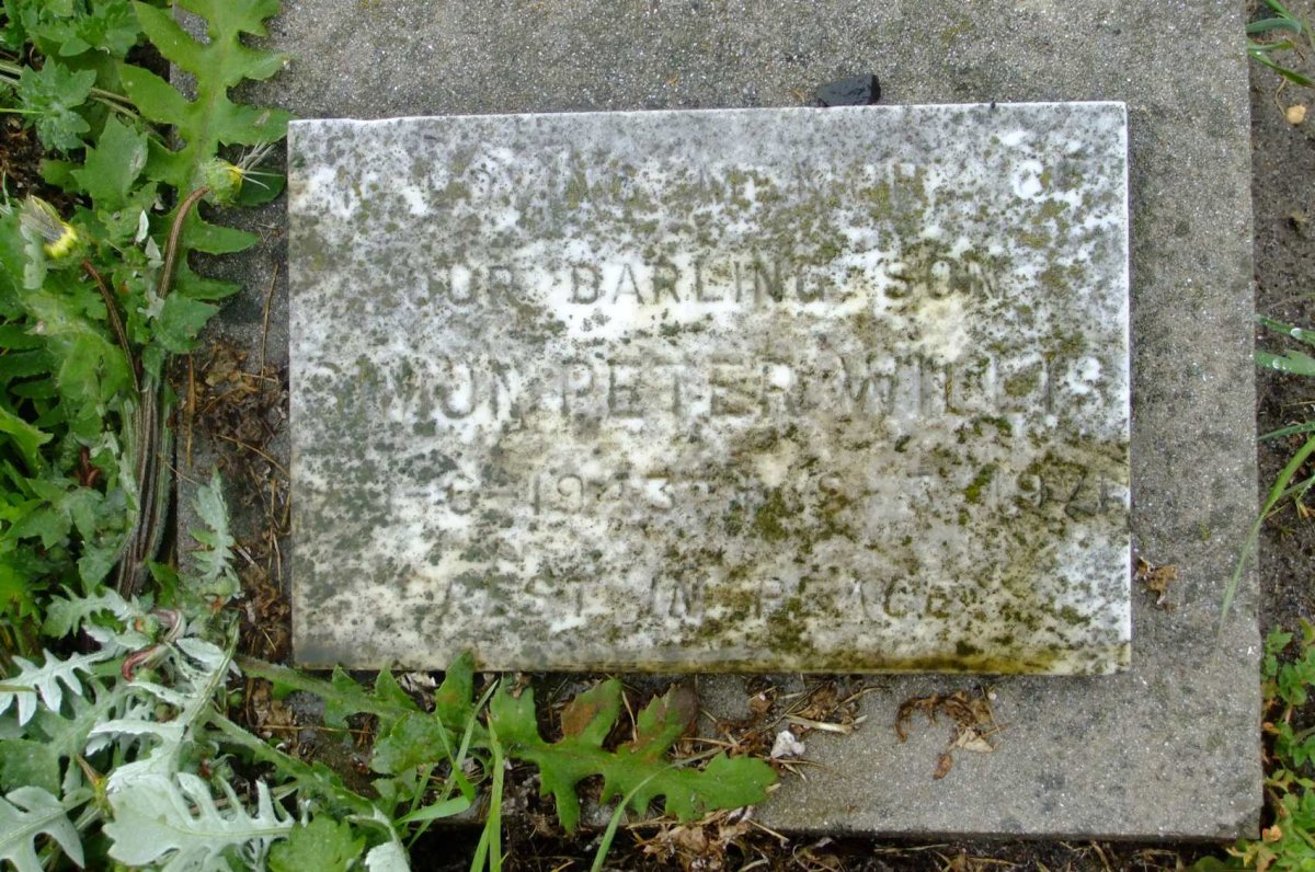 WILLIS Simon Peter 1943-1971