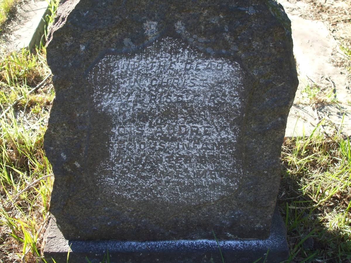 WILLMER Lois Audrey 1918-1918