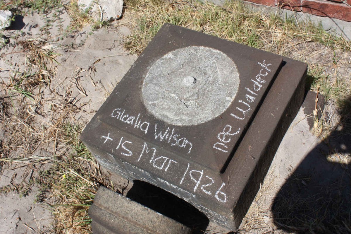 WILSON Glealia nee WALDECK -1926