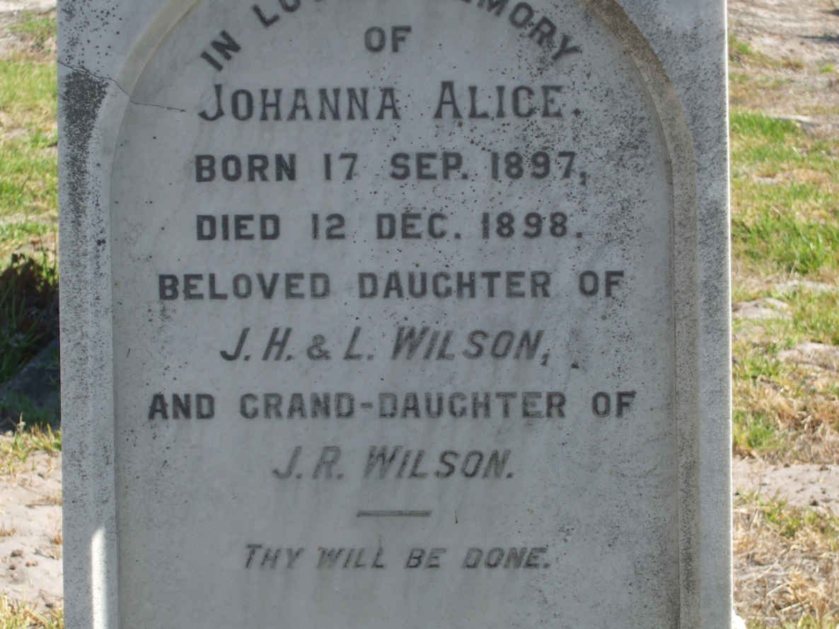 WILSON Johanna Alice 1897-1898