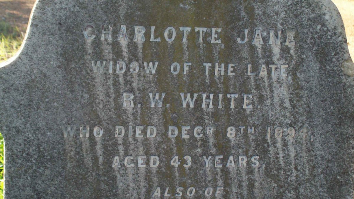 WHITE Charlotte Jane -1894
