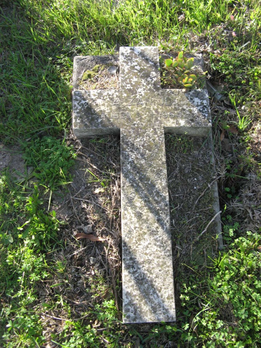 ZANIOL A. 1888-1954