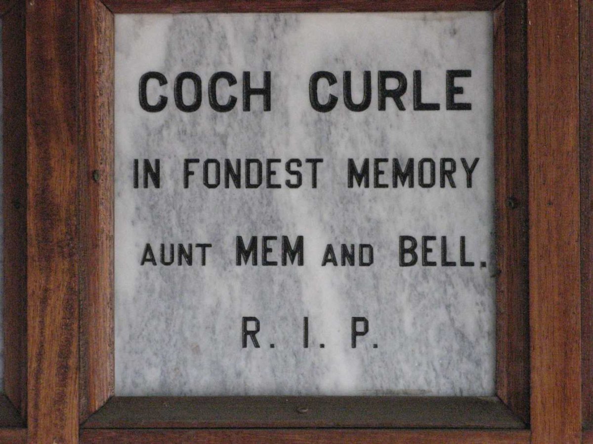 COCH Mem :: CURLE Bell