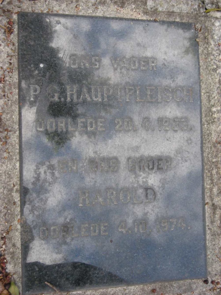 HAUPTFLEISCH P.G. -1953 :: HAUPTFLEISCH Harold -1974
