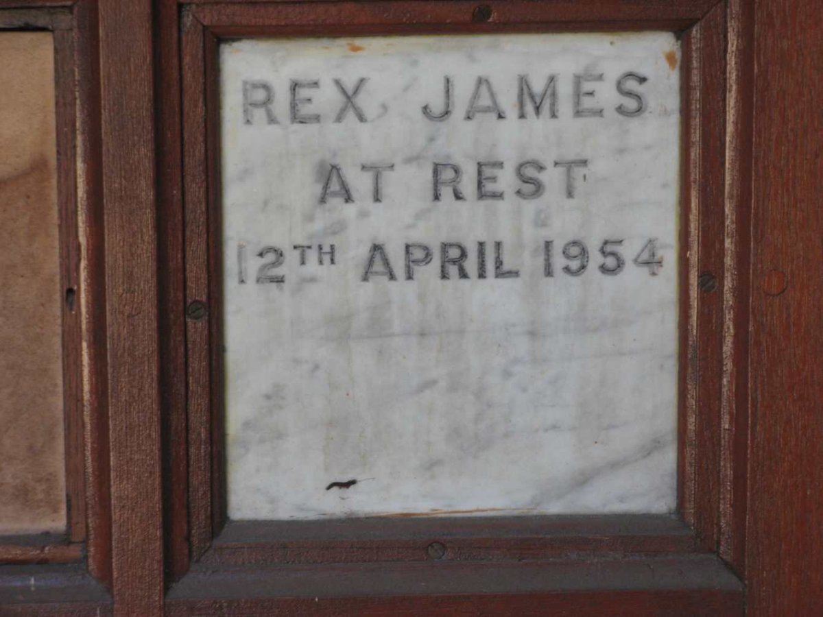 JAMES Rex -1954