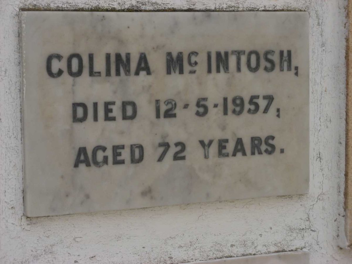 McINTOSH Colina -1957