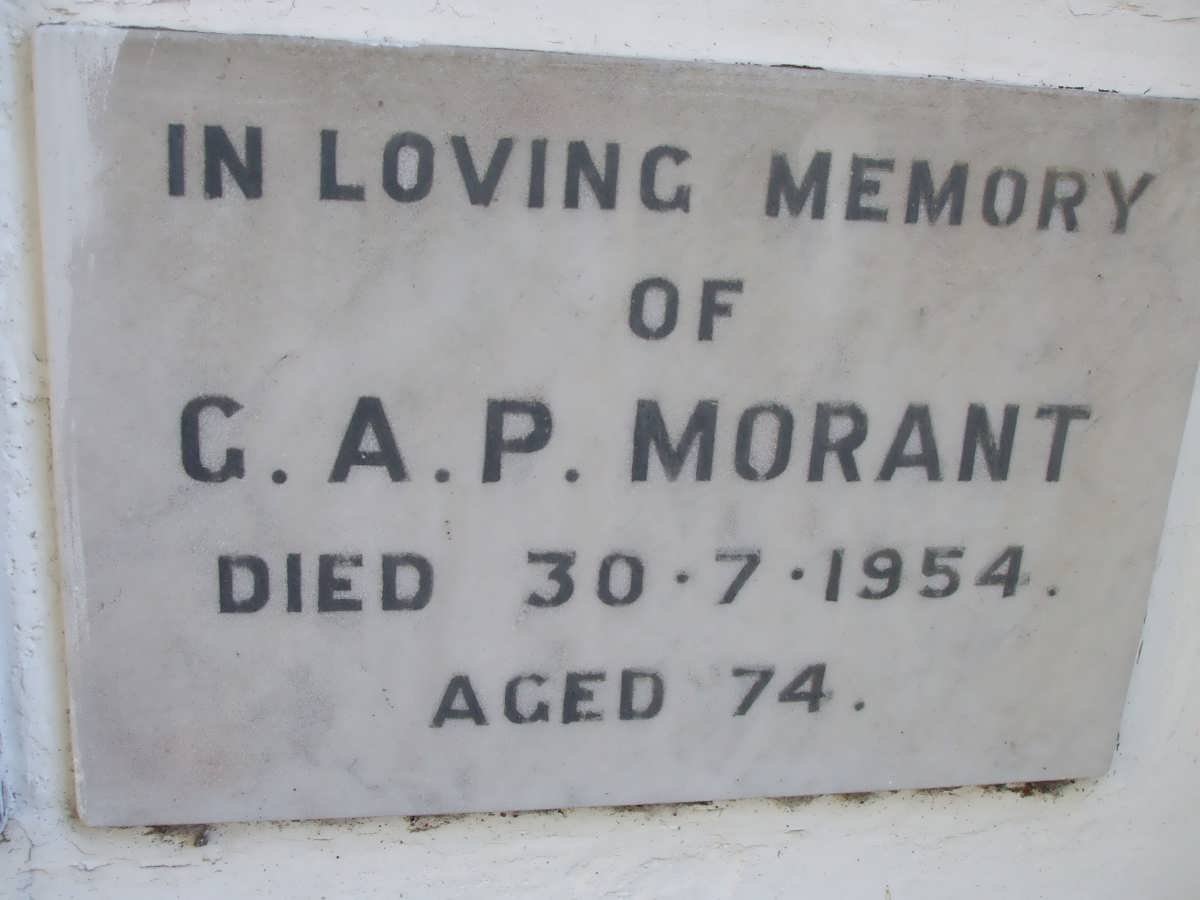 MORANT G.A.P. -1954