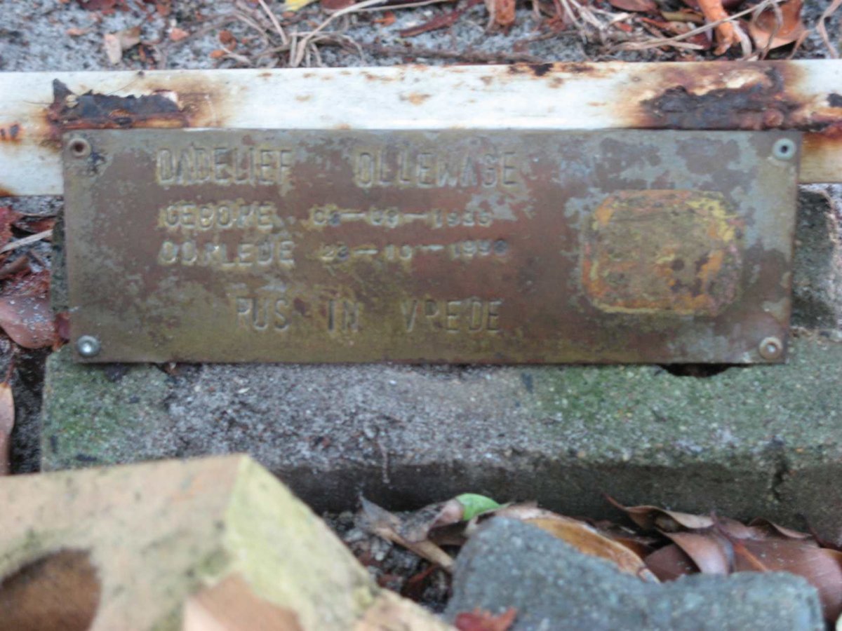 OLLEWAGE Dadelief 1935-19??