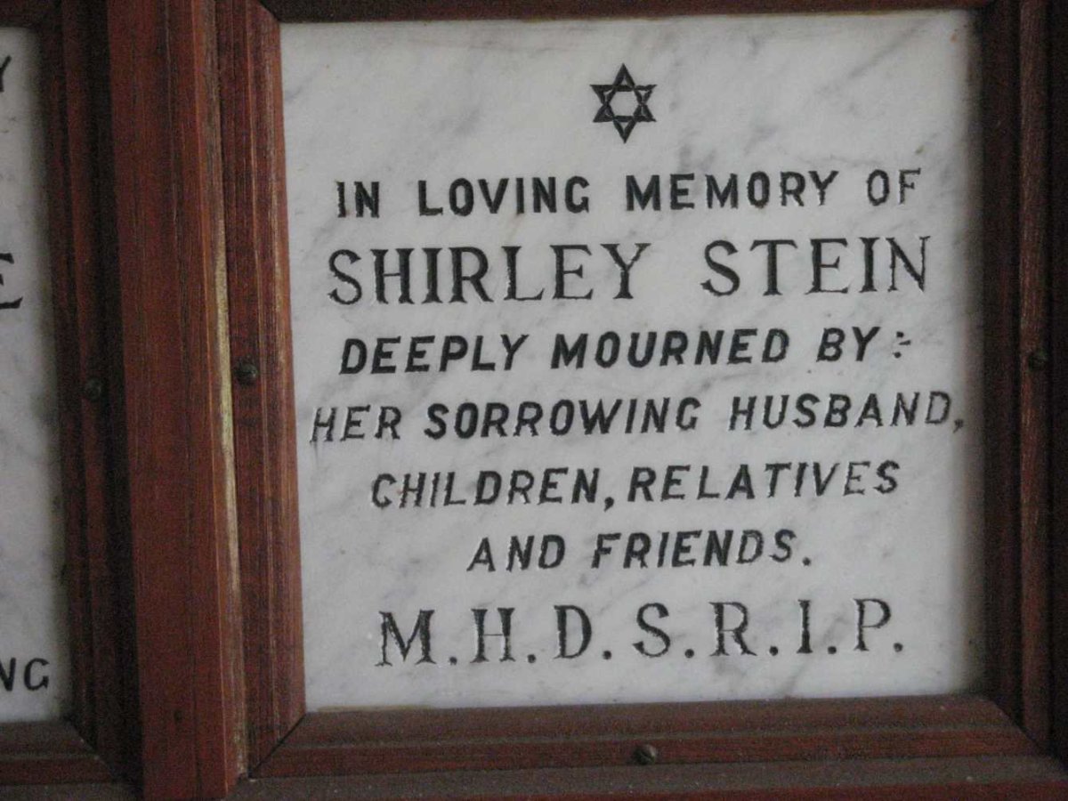 STEIN Shirley