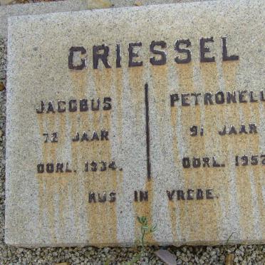 GRIESSEL Jacobus 1934 &amp; Petronella -1952