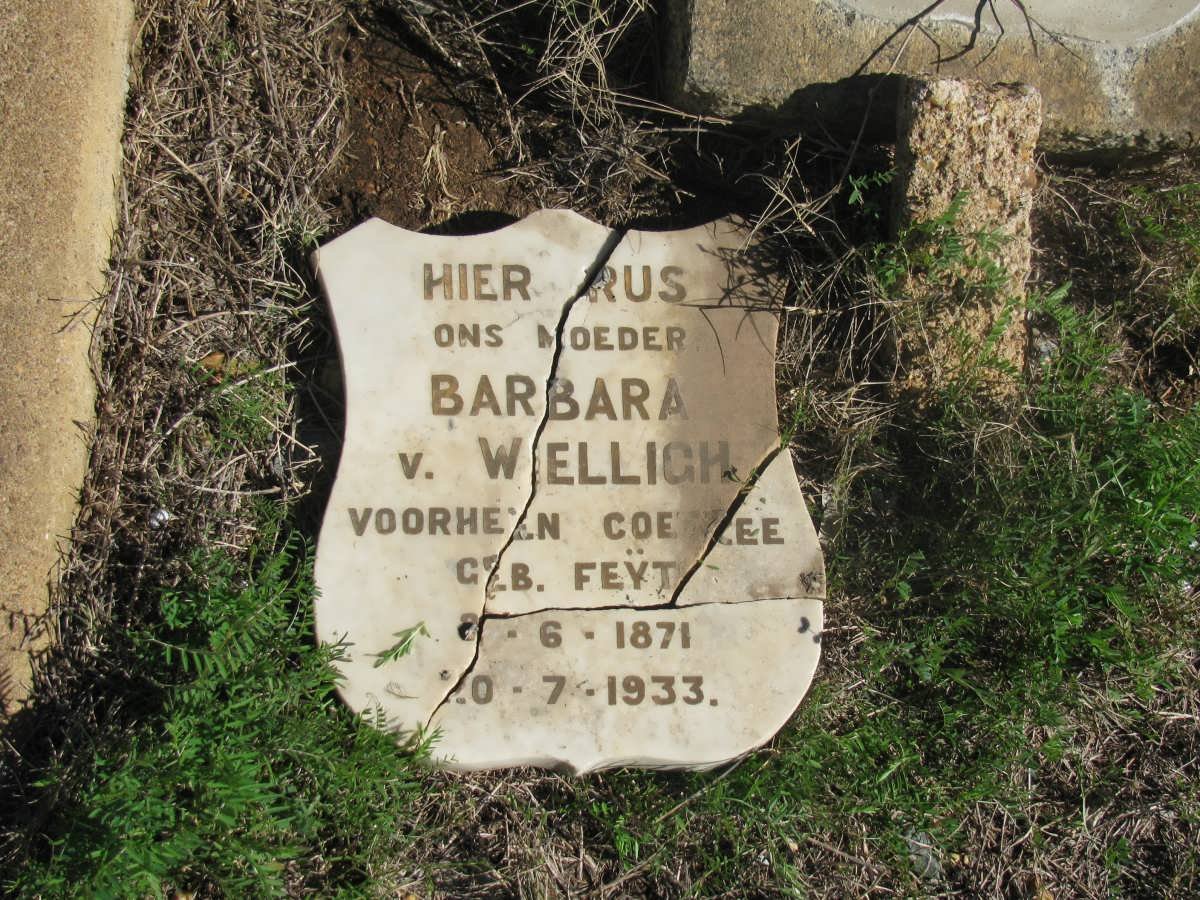 WIELLIGH Barbara, v. nee FEYT 1871-1933