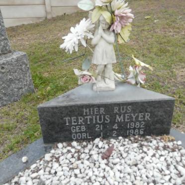 MEYER Tertius 1982-1986