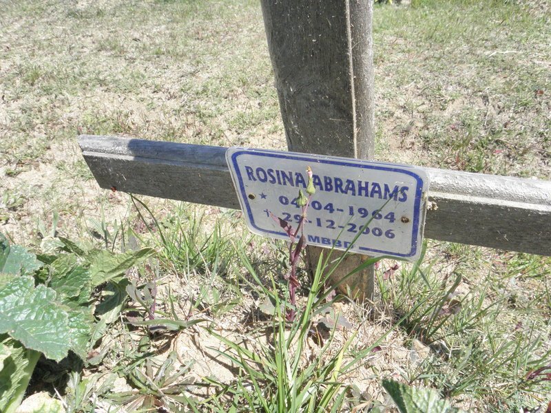 ABRAHAMS Rosina 1964-2006