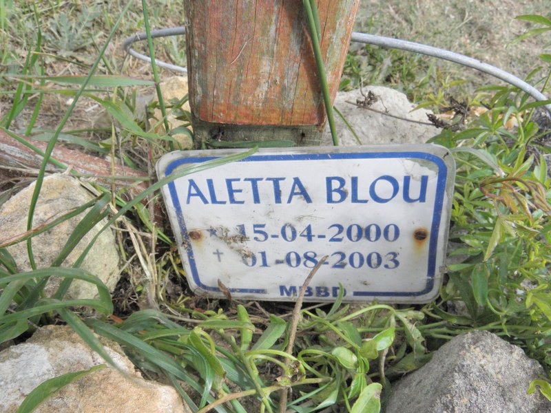 BLOU Aletta 2000-2003