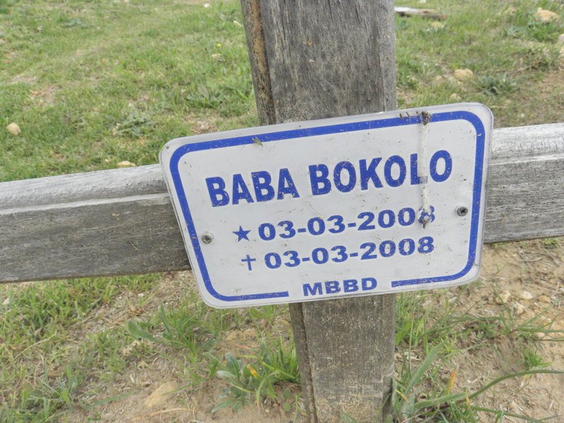 BOKOLO Baba 2008-2008