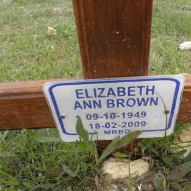 BROWN Elizabeth Ann 1949-2009