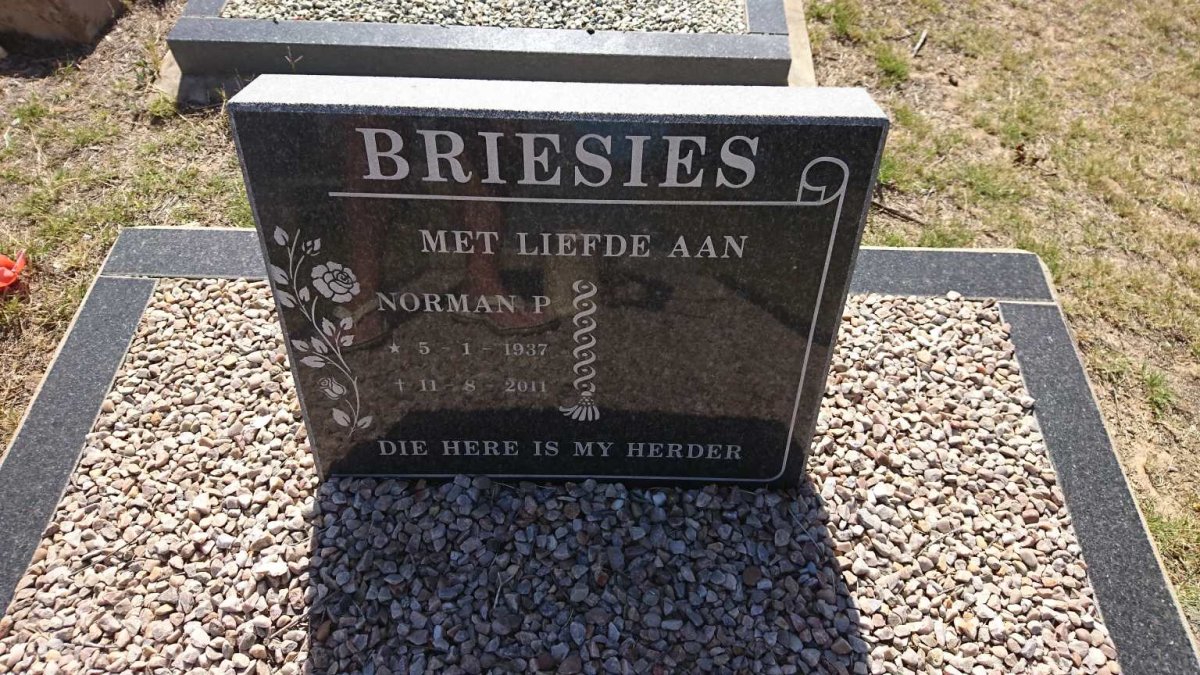 BRIESIES Norman P. 1937-2011