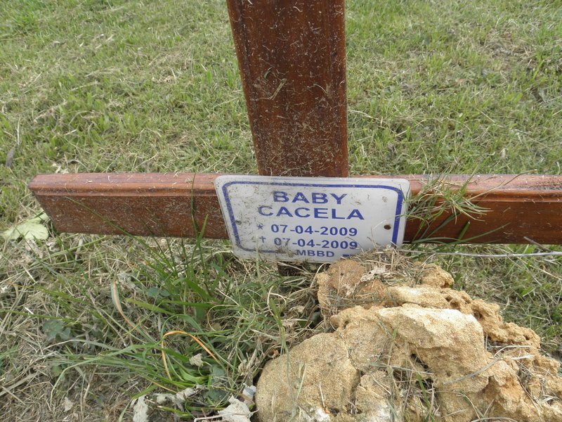 CACELA 2009-2009