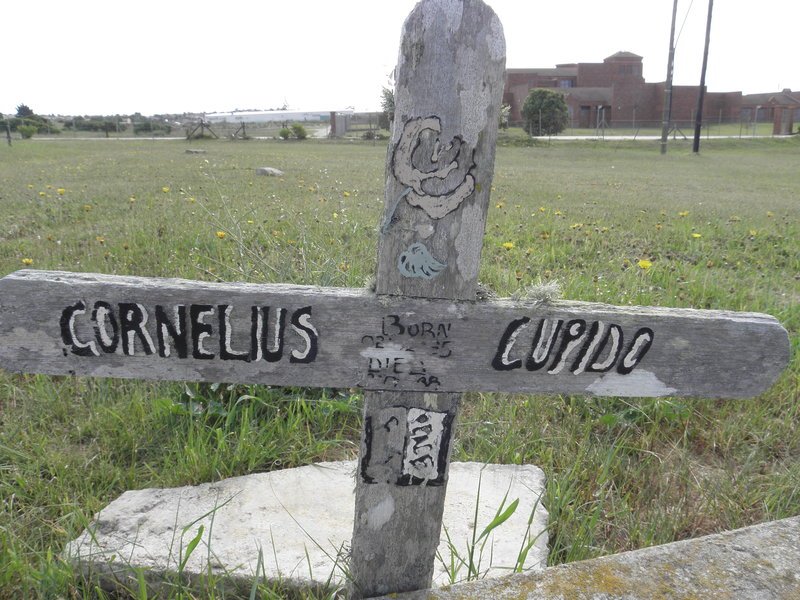 CUPIDO Cornelius ??-??