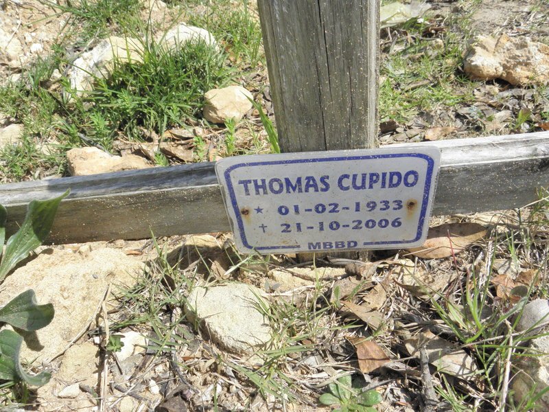 CUPIDO Thomas 1933-2006