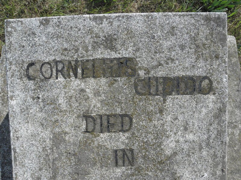 CUPIDO Cornelius