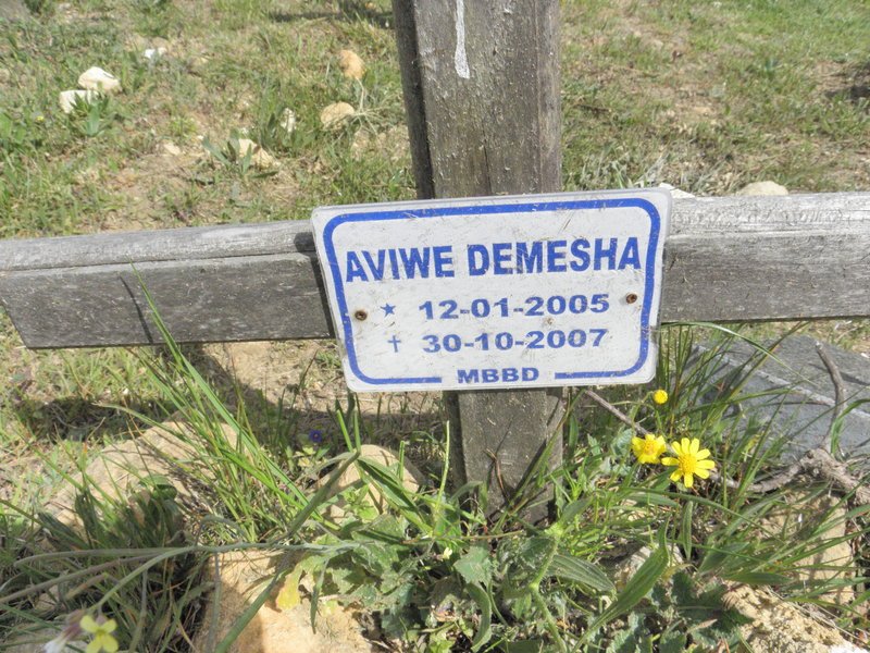 DEMESHA Aviwe 2005-2007
