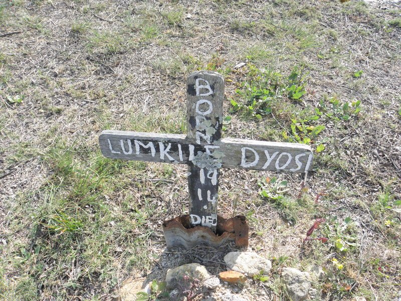 DYOS Lumkile